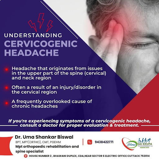 Gallery image 397
