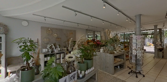http://www.blumen-emonds.de/