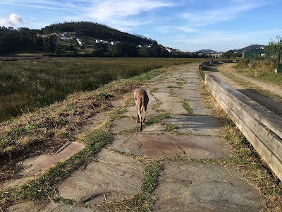 park