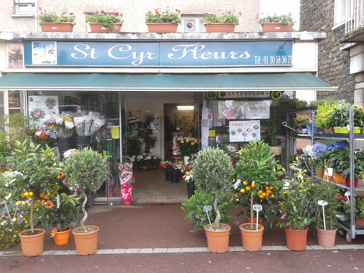 St Cyr Fleurs - Thumbnail