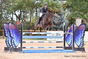 Photo n°11 de Les Ecuries de Messey à Messey-sur-Grosne (Centre équestre)