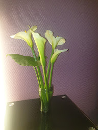 Photo n°4 de Mélé-Brémont Anne-Laure à Dax (Praticien en drainage lymphatique)