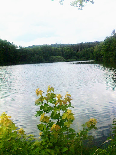 Fischbacher Teich