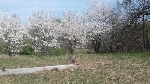 Anspoku Muižas drupas