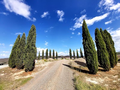 Strada dei Cipressi (SP 88)