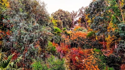 Photos of &Delta;&eta;&mu;&omicron;&tau;&iota;&kappa;ό&sigmaf; &Kappa;ή&pi;&omicron;&sigmaf; &Lambda;&epsilon;&upsilon;&kappa;&omega;&sigma;ί&alpha;&sigmaf;
