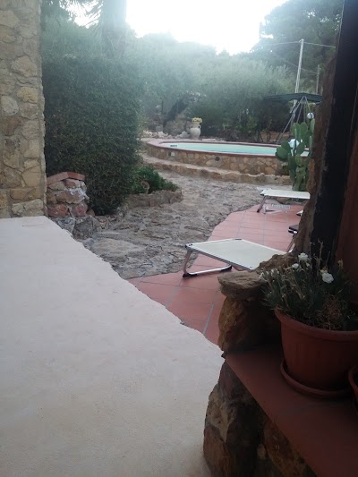 Photos of B&B Agave64