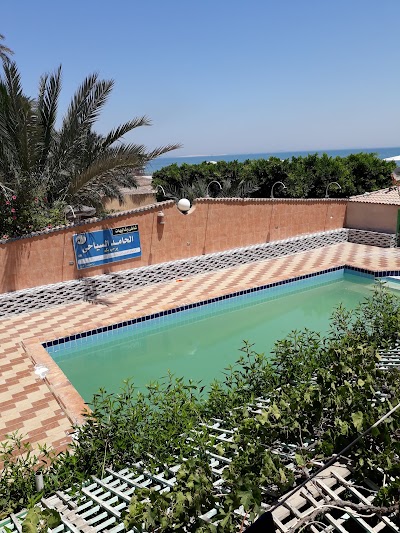 Photos of فندق توليب فايد