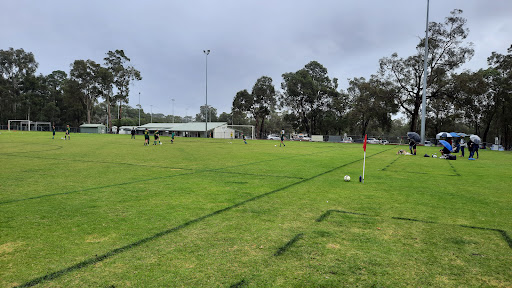 Harry Riseborough Oval