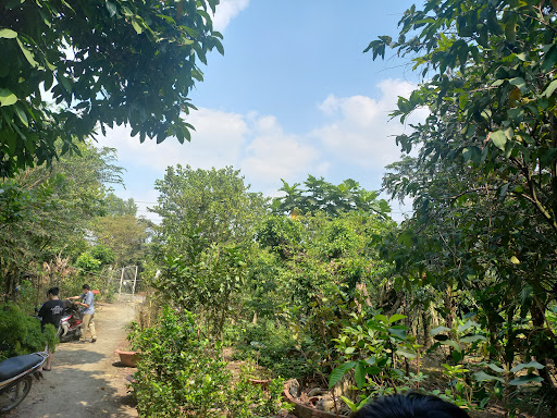 Hồ