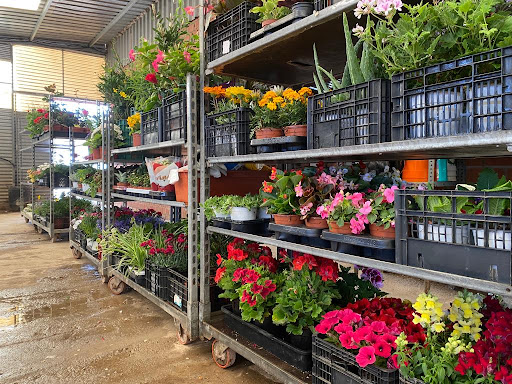 Viveros Plantabell - Foto 1