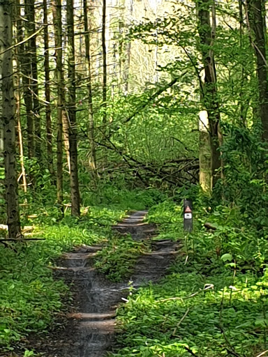 MTB route - Visual