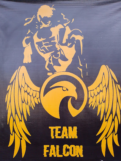 Academia Team Falcon