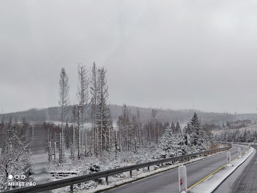 Oberharz - Thumbnail