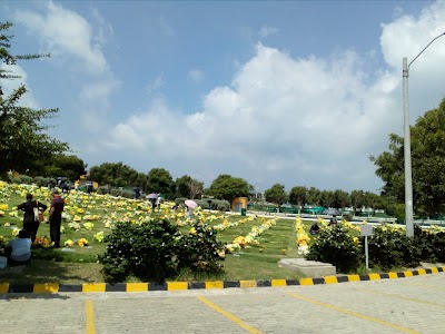 Photos of Olives Cemetery