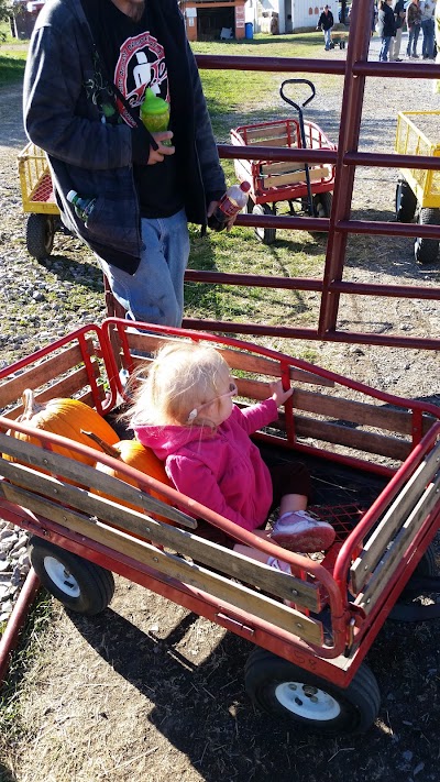 Photos of Williams Orchard