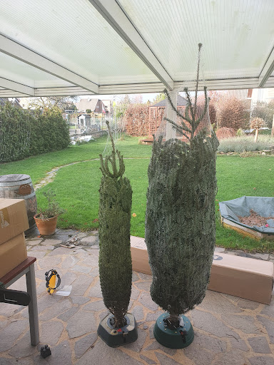 Weihnachtsbaumland.de - Thumbnail