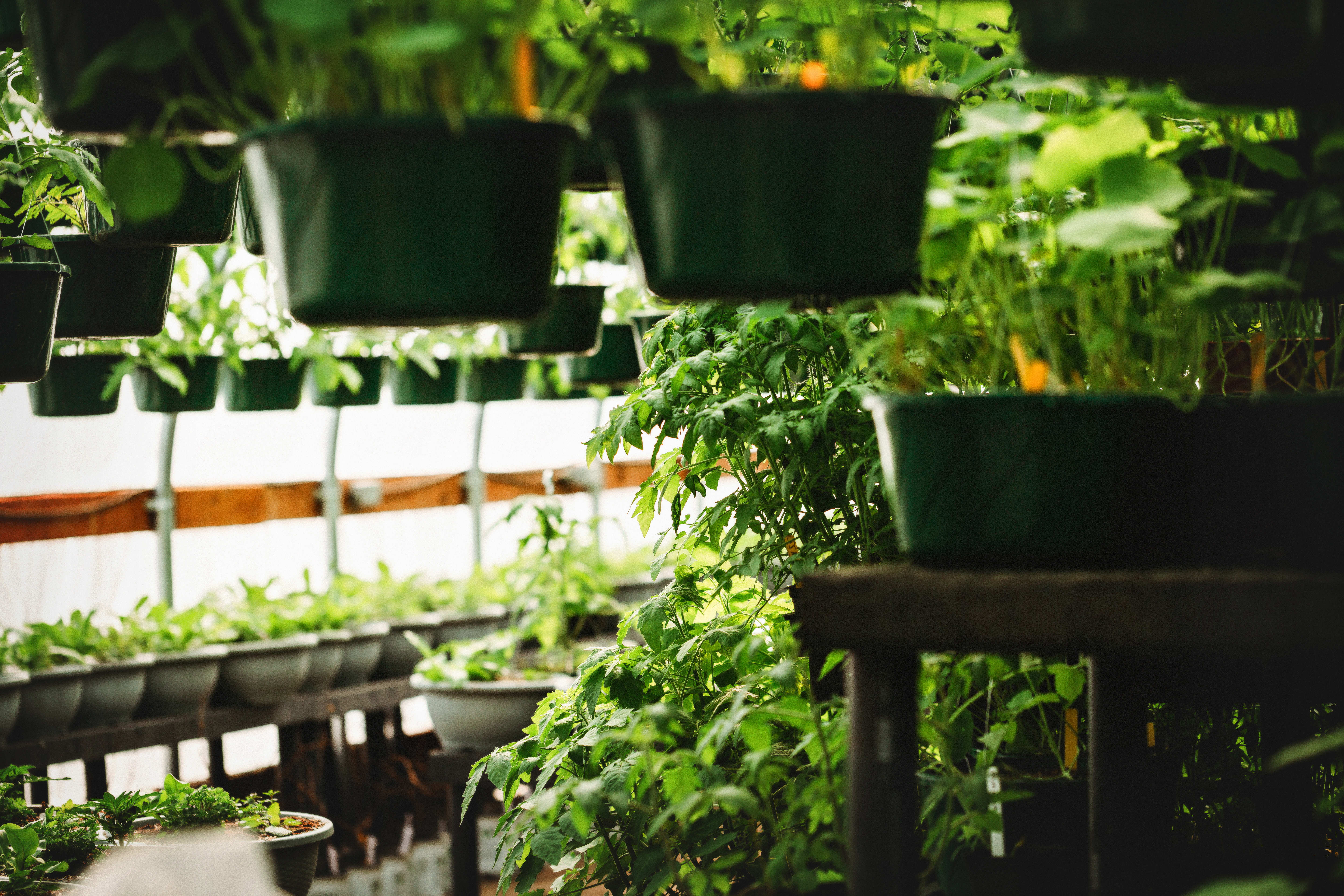 Ken's Garden Center