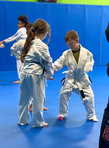 Awesome Martial Arts Academy - brazilian jiu jitsu in Clarksville, Indiana