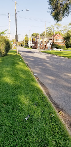 Luke Easter Park - Visual