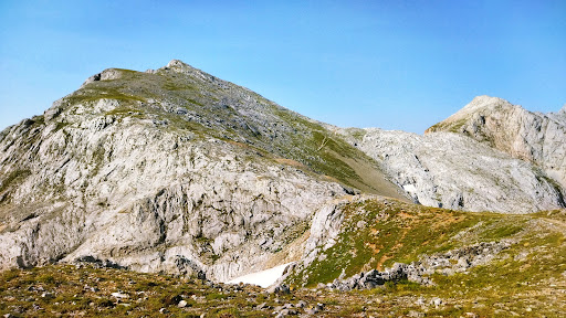 Picu San Carlos