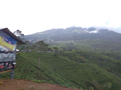 Photos of Glance Bukit Kemuning