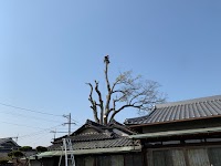 (株)ソナテック