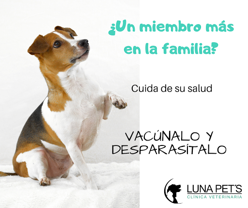 Clínica Veterinaria Luna Pet's