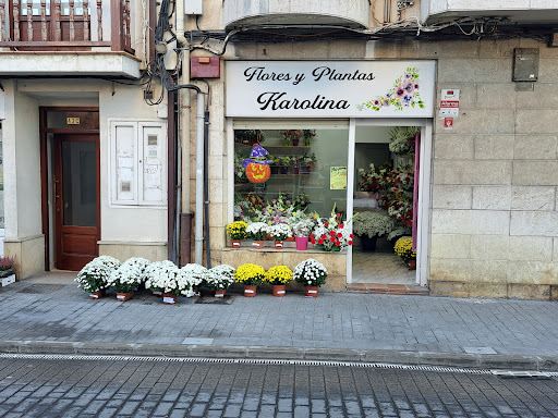 Flores y plantas Karolina