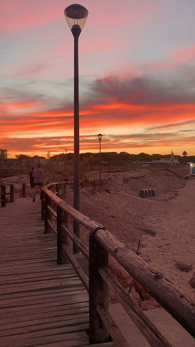 Yoga Classes Algarve @ AriDavidYoga - Aulas de Yoga