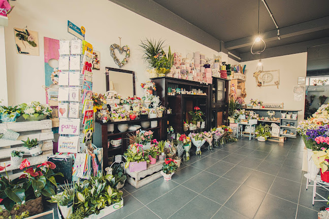 Floraria Weidenbach - Ghimbav