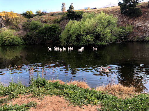 Marsden Weir Park - Thumbnail