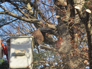 Photo n°15 de Gaudelet Cliff Espaces Verts à Pouilly-sur-Loire (Service d'entretien de pelouse)