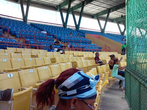 Estadio Cristobal Caguitas Colon, Author: Juana Rivera