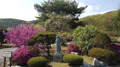 Photos of 김포다도박물관