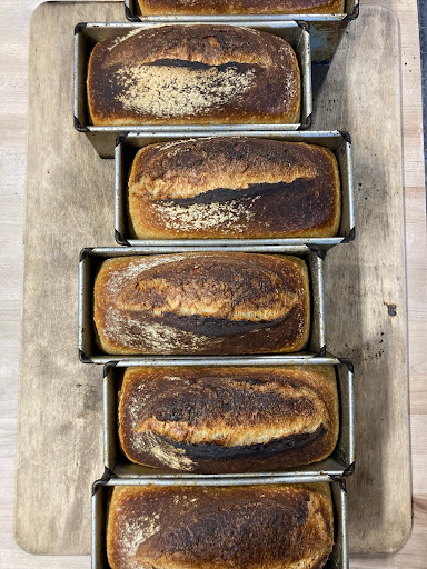 Riviera Bread - Visual