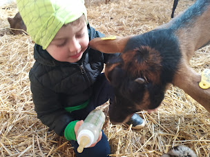 Photo n°27 de Ferme des p'tis bilounes/ La lodge de l'étoile du berger à Cenves (Gîte)