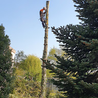 Boutard Parcs et Jardins à Auxerre