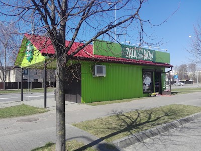 Photos of "Zaļā bāze", SIA