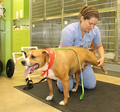 Susan M. Markel Veterinary Hospital at the Richmond SPCA