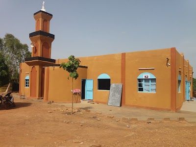Photos of CERFI