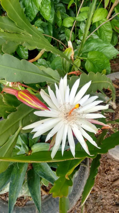 Photos of Granja jardin el Lucero