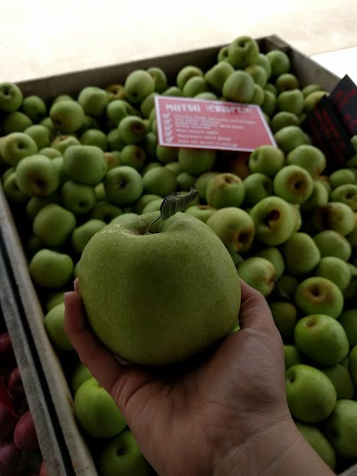Photos of Grandad's Apples