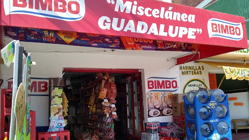Miscelánea Guadalupe