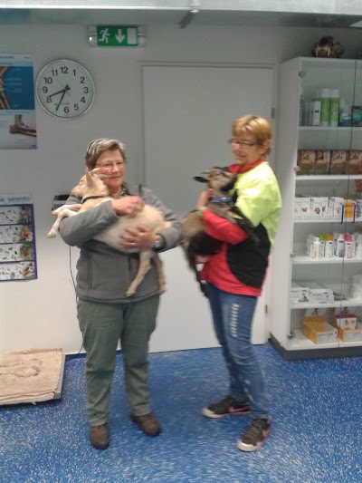 Photos of Dipl.Tzt. Ingo Mai