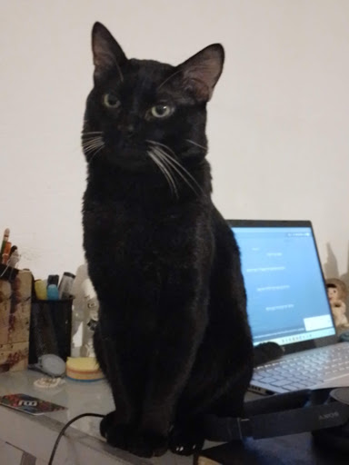 Veterinaria Oliva - Thumbnail