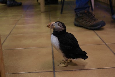 Photos of Aquarium & Natural History Museum