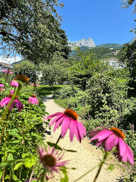 Hôtel Beau Site Talloires by null