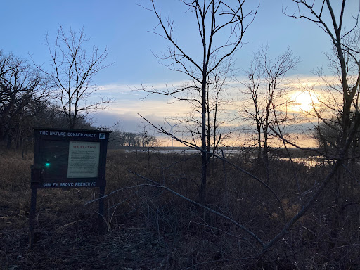 Sibley Grove - Thumbnail