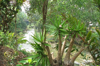 Photos of Balneario Talpetate